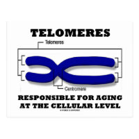 Telomeres Responsible For Aging At Cellular Level Postcard