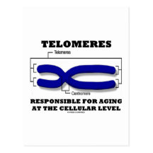 Telomeres Responsible For Aging At Cellular Level Postcards