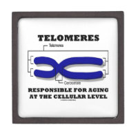 Telomeres Responsible For Aging At Cellular Level Premium Jewelry Boxes