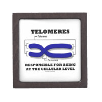 Telomeres Responsible For Aging At Cellular Level Premium Keepsake Box