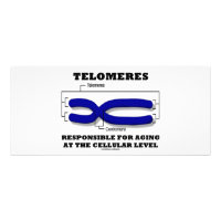 Telomeres Responsible For Aging At Cellular Level Rack Card Design