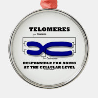 Telomeres Responsible For Aging At Cellular Level Round Metal Christmas Ornament