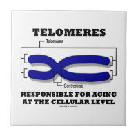 Telomeres Responsible For Aging At Cellular Level Small Square Tile