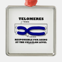 Telomeres Responsible For Aging At Cellular Level Square Metal Christmas Ornament