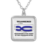 Telomeres Responsible For Aging At Cellular Level Square Pendant Necklace