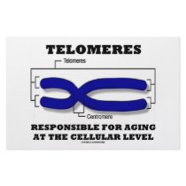 Telomeres Responsible For Aging At Cellular Level stationery