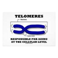 Telomeres Responsible For Aging At Cellular Level Stationery