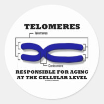 Telomeres Responsible For Aging At Cellular Level Stickers