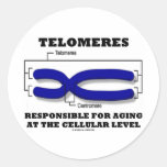 Telomeres Responsible For Aging At Cellular Level Round Sticker
