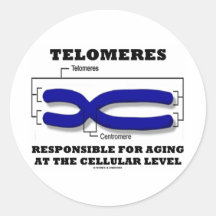 Telomeres Responsible For Aging At Cellular Level Round Sticker