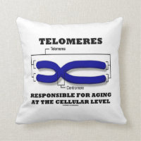 Telomeres Responsible For Aging At Cellular Level Throw Pillow