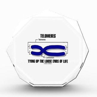 Telomeres Tying Up The Loose Ends Of Life Awards