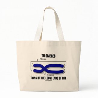 Telomeres Tying Up The Loose Ends Of Life bag