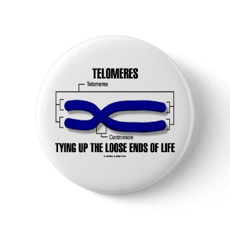 Telomeres Tying Up The Loose Ends Of Life button