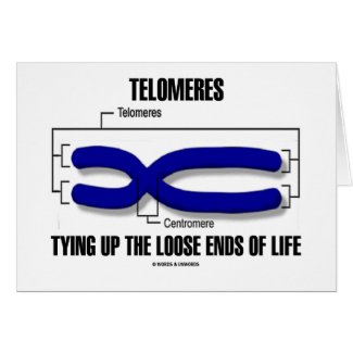 Telomeres Tying Up The Loose Ends Of Life card