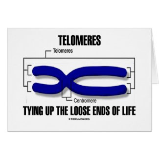 Telomeres Tying Up The Loose Ends Of Life Greeting Card