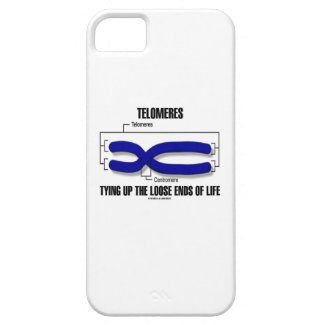 Telomeres Tying Up The Loose Ends Of Life iPhone 5 Cases