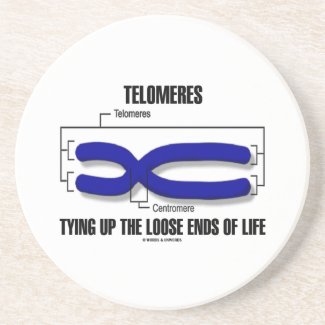 Telomeres Tying Up The Loose Ends Of Life Coasters