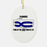 Telomeres Tying Up The Loose Ends Of Life Double-Sided Oval Ceramic Christmas Ornament