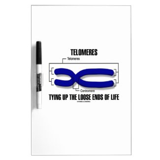 Telomeres Tying Up The Loose Ends Of Life Dry-Erase Boards