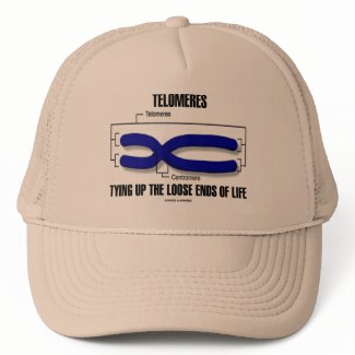 Telomeres Tying Up The Loose Ends Of Life hat