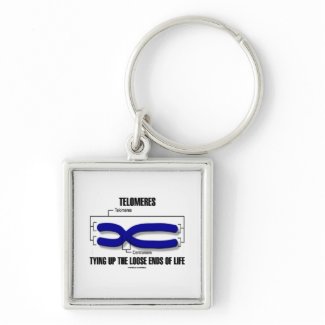 Telomeres Tying Up The Loose Ends Of Life keychain