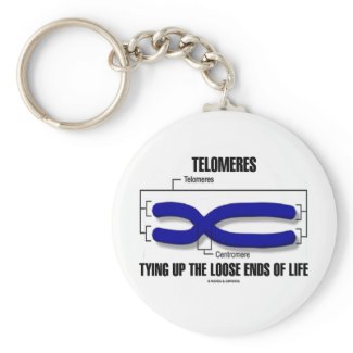 Telomeres Tying Up The Loose Ends Of Life keychain