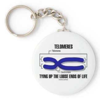 Telomeres Tying Up The Loose Ends Of Life Key Chain
