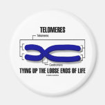 Telomeres Tying Up The Loose Ends Of Life Refrigerator Magnets