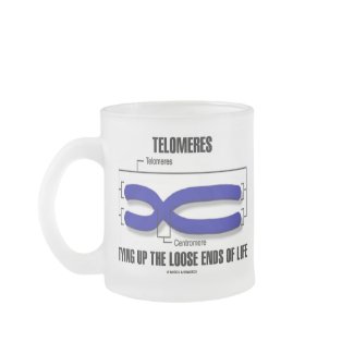 Telomeres Tying Up The Loose Ends Of Life mug