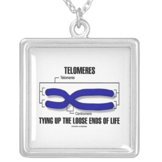 Telomeres Tying Up The Loose Ends Of Life necklace
