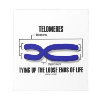 Telomeres Tying Up The Loose Ends Of Life Memo Note Pads