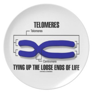 Telomeres Tying Up The Loose Ends Of Life Dinner Plates