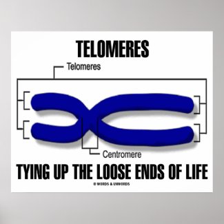 Telomeres Tying Up The Loose Ends Of Life Print