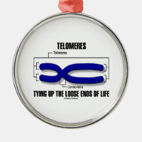 Telomeres Tying Up The Loose Ends Of Life Round Metal Christmas Ornament