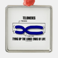 Telomeres Tying Up The Loose Ends Of Life Square Metal Christmas Ornament