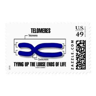 Telomeres Tying Up The Loose Ends Of Life Stamps