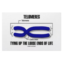 Telomeres Tying Up The Loose Ends Of Life stationery