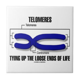 Telomeres Tying Up The Loose Ends Of Life Ceramic Tiles