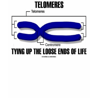 Telomeres Tying Up The Loose Ends Of Life shirt