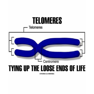 Telomeres Tying Up The Loose Ends Of Life shirt