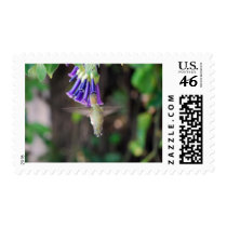 Temescal Hummer postage by melaniemle Temescal Hummer postage