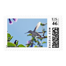 Temescal Hummingbird Postage Stamp