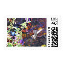 Temescal Hummingbird Stamps