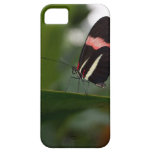 temp non apparel iPhone 5 cases