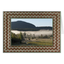Template - Decorative Colorful Lithographed Border cards
