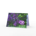 Template Greeting Card