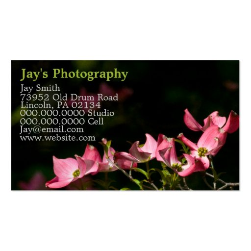 Template Photography Business Cards
