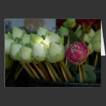 Temple Flowers cards