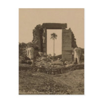 Temple of Amenophis, Egypt circa 1867 Post Cards